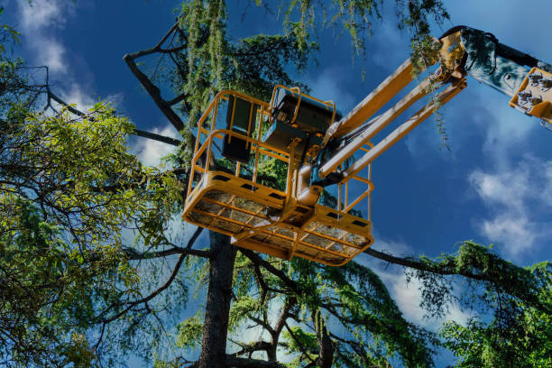 Best Tree Cutting Near Me  in Fords Prairie, WA